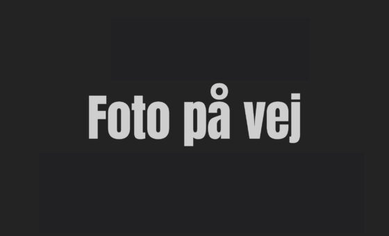Stjerneskud